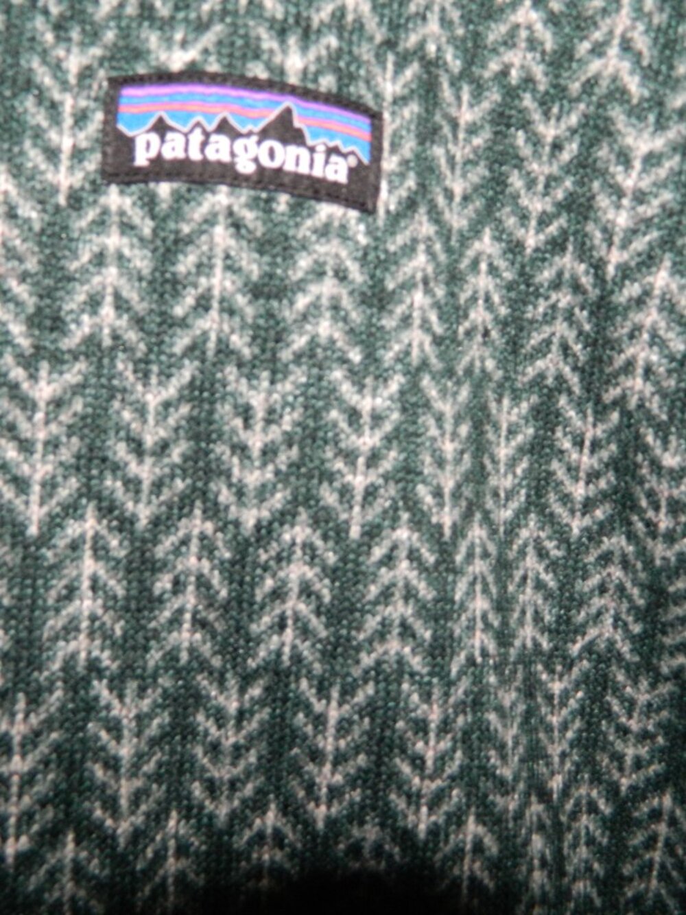 Patagonia Better Sweater Pullover Green Pine Northern Fleece Rare Sz L - Picture 2 of 5